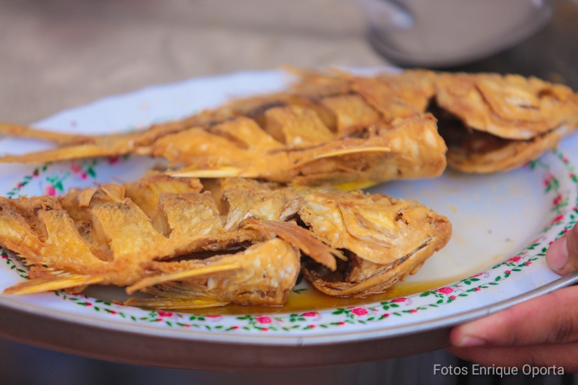 FERIA1